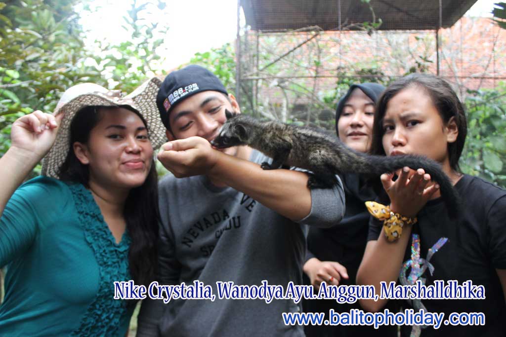 tour-ke-bali-murah