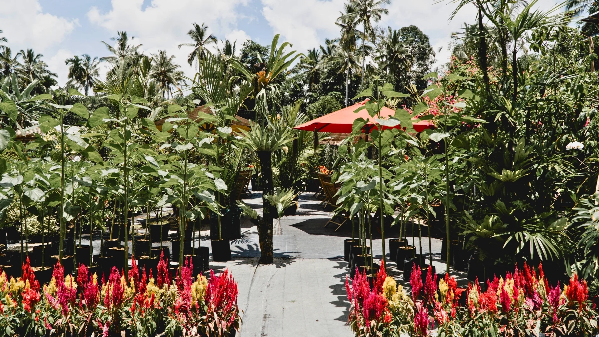 Cafe Kebun