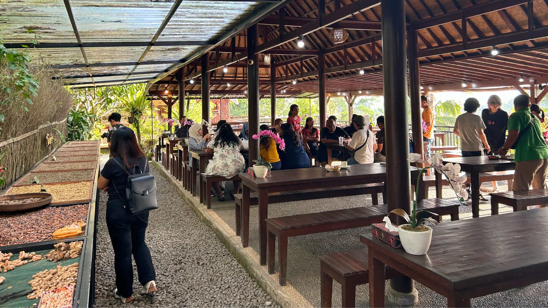 Agrowisata Kopi Luwak (12)