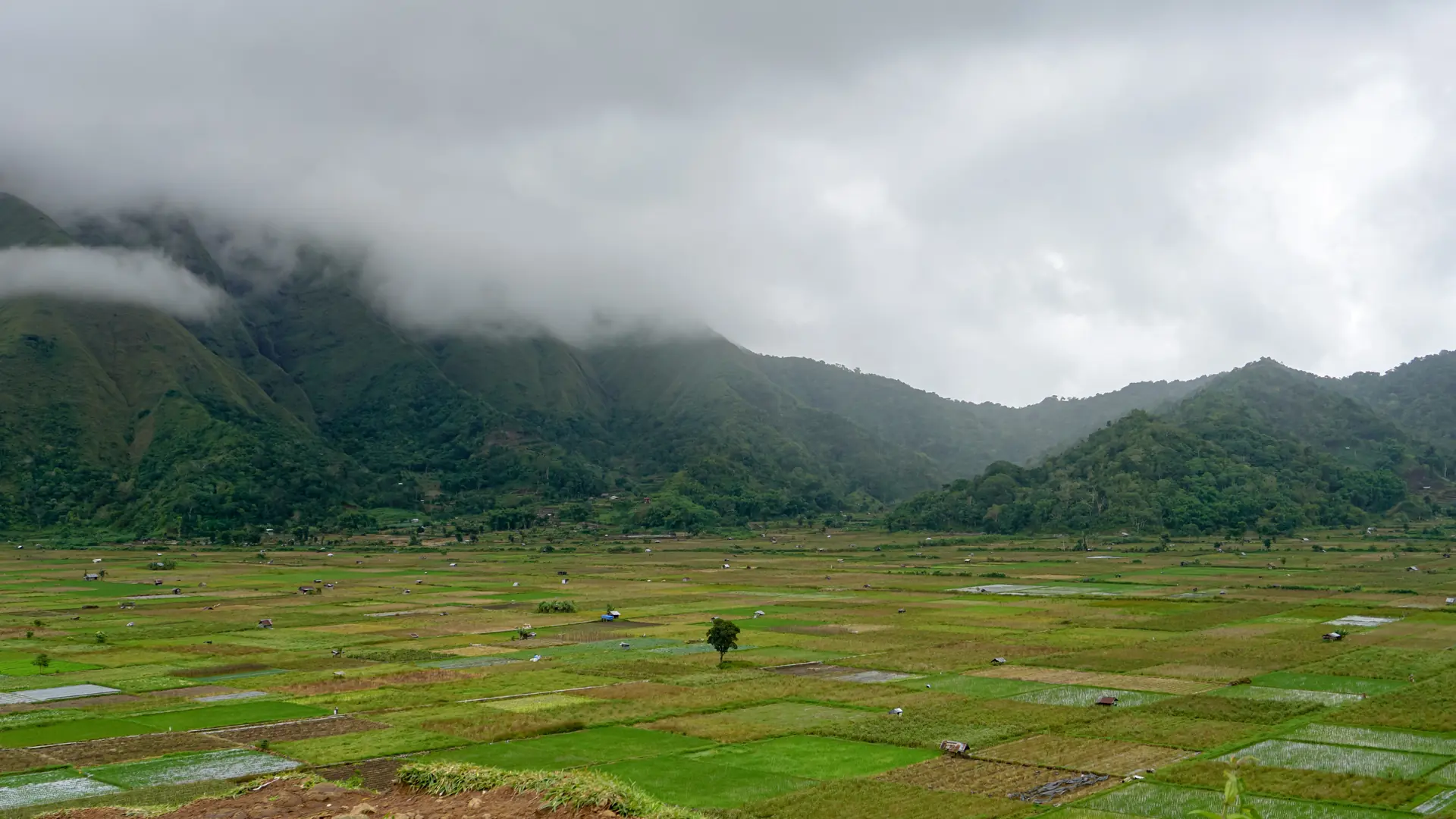 Sembalun Lawang