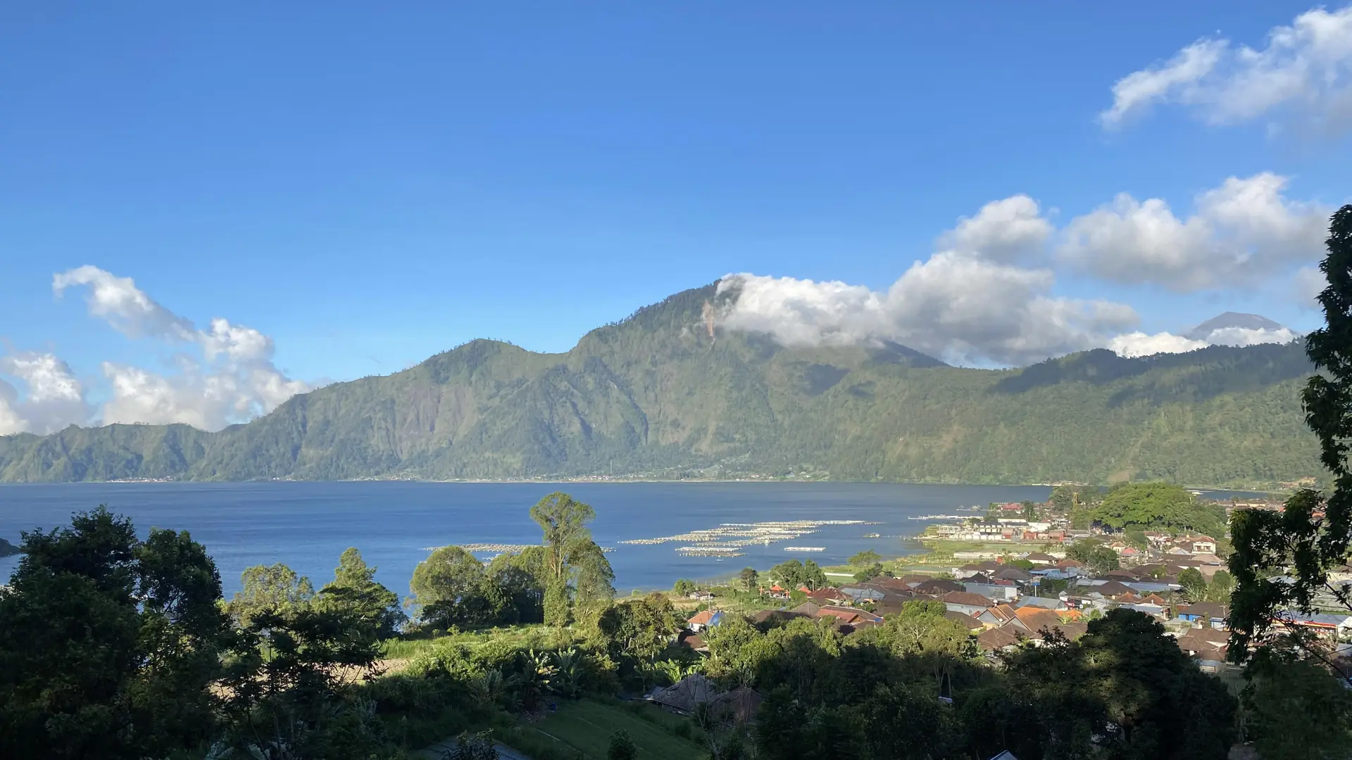 Kintamaniiii (2)